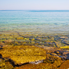 brown  stone in the coastline sunrise and light ocean white sky