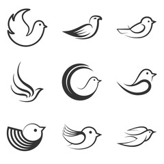 Set of Birds.Vector illustration