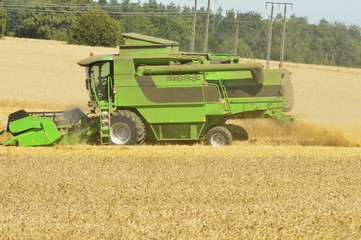 Obraz premium Combine the field