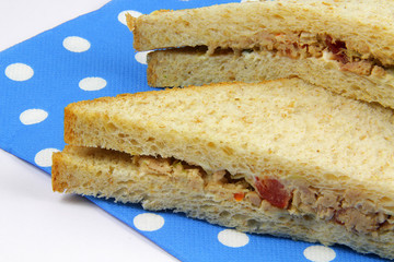sandwich 04112015