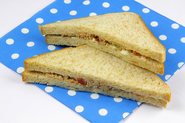 sandwich 04112015