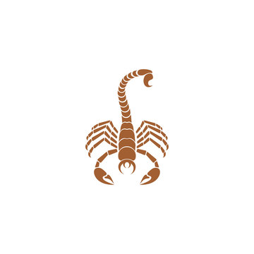 Icon scorpion.