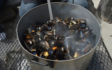 A Hot Pot of Mussels
