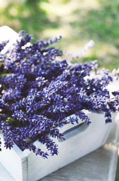 Lavender flowers in white tray
