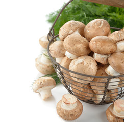 Royal mushrooms in a basket