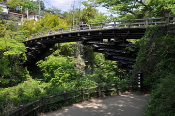 Fototapeta premium 猿橋 橋