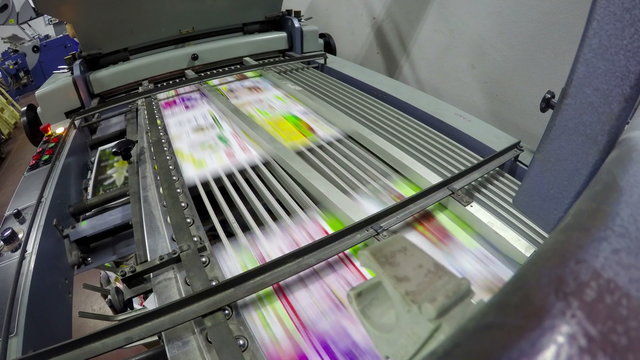 folding machine folds printed offset sheet as 