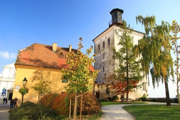Zagreb Upper town with Tower Lotrscak