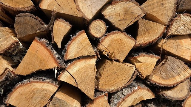 Dry chopped firewood logs in a pile. 
