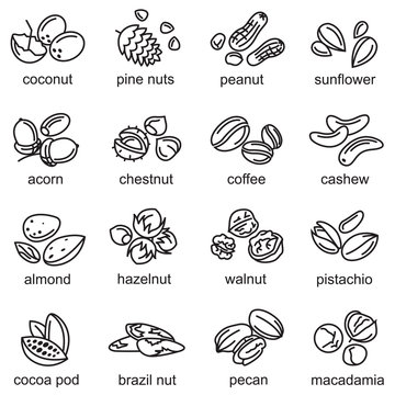 set of sixteen monochrome nuts icons