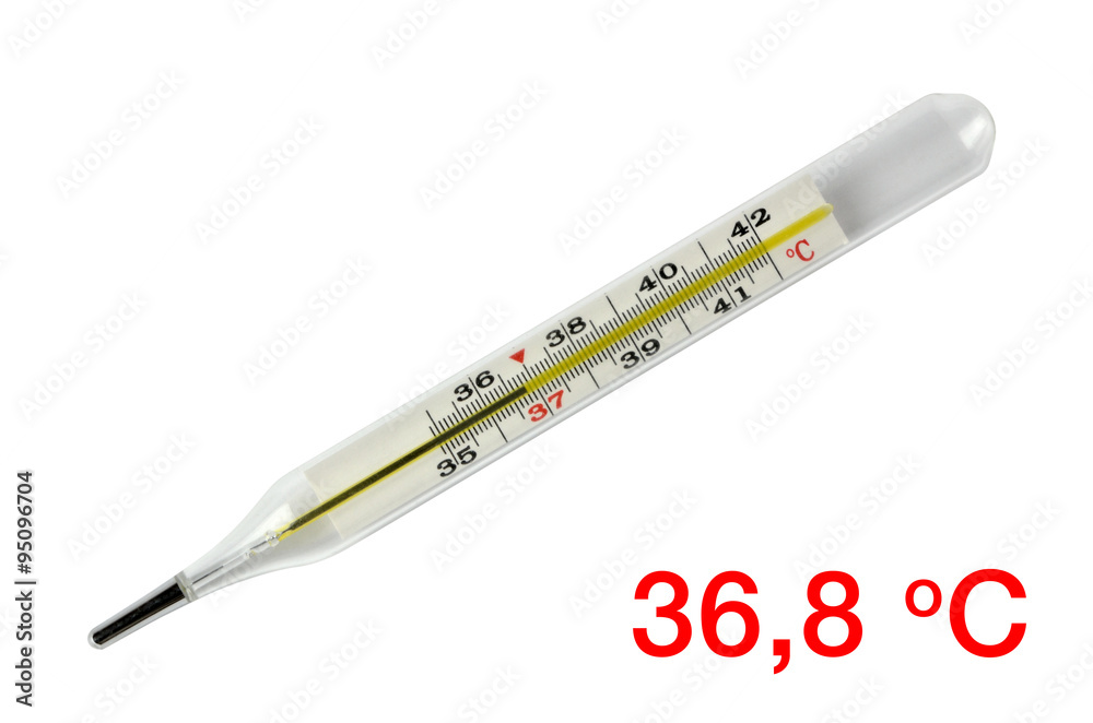 Wall mural Body temperature thermometer - 36.8 C