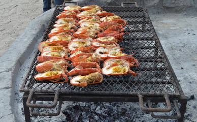Cape Crayfish on Hot Coals