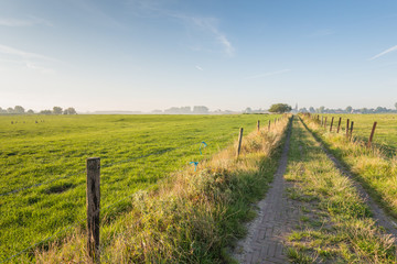 Fototapeta na wymiar Narrow path between two fields
