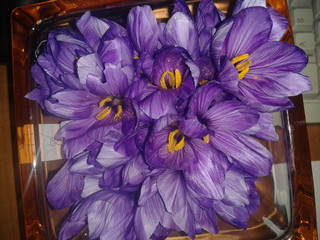 Crocus sativus, Zafferano