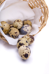 Obraz premium quail eggs in a basket on a white background