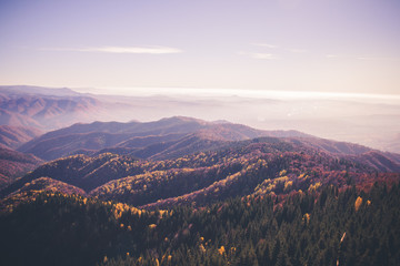 Landscape in the fall