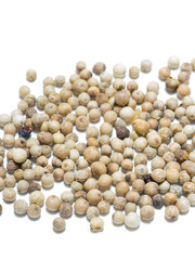 ホワイトペッパー