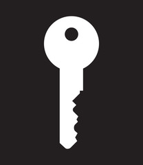 Key isolated. Vector icon