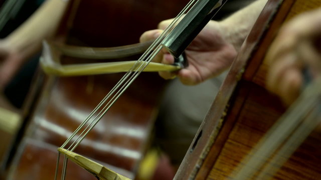 macro of cello strings in orchestra