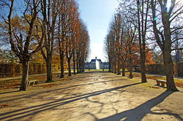 Autumn park in the sunlight.Fall trees along an alley in Pillnitz palace forest, Dresden,Saxony,Germany