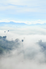 Morning view fog covering the mountain forests