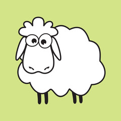 Cute white sheep