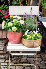 old chair and flowers