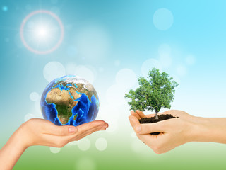 Womans hands holding green tree and Earth