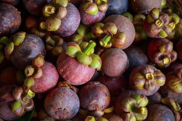 fresh mangosteen fruit