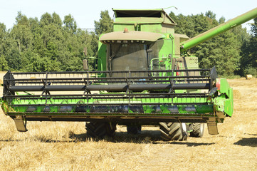 Fototapeta premium Combine the field