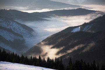 Fog, lit morning sun rises from mountain valleys in winter Carpathians.