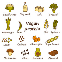 Vegan protein icons
