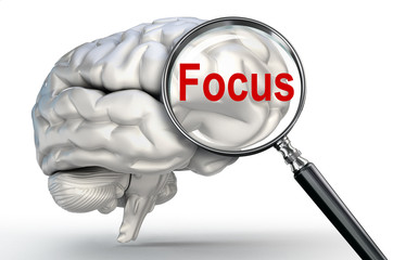 focus word on magnifying glass and human brain