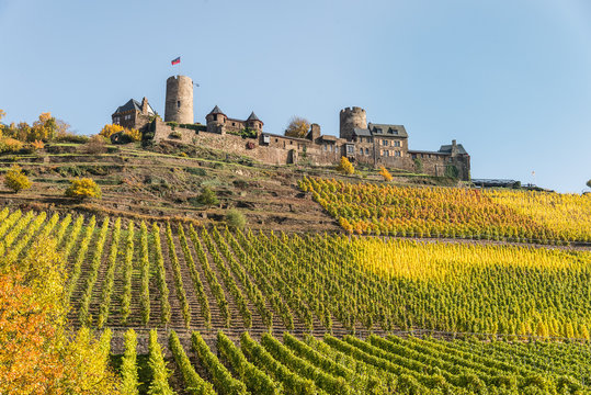 Mosel - Burg Thurant mit Weinberg
