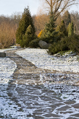 winter landscape in the park