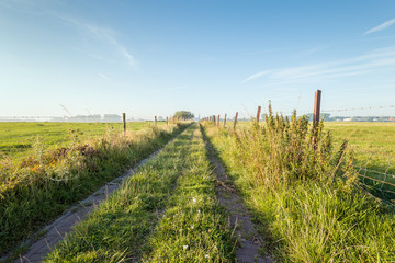Fototapeta na wymiar Narrow path between two fields