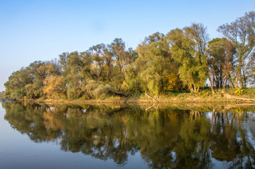 Auenwald an der March