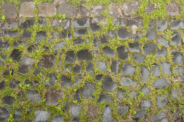 Stone floor with sprouted grass