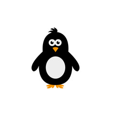 Obraz premium pinguin