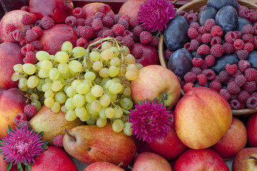 fresh plums, pears, grapes and raspberries with flowers asters c