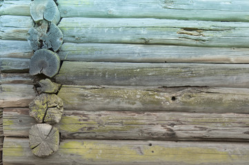 part of old wooden wall of oak logs