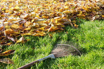 Gartenarbeit