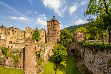 Obraz premium Heidelberg Castle, Palace of kings