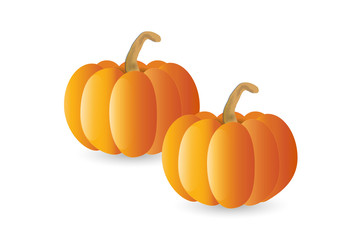 Pumpkin on white background