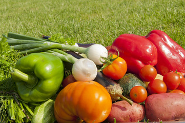 harvest of vegetables