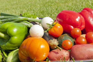 harvest of vegetables