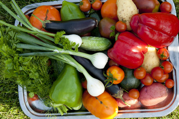 harvest of vegetables