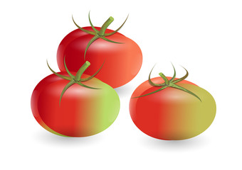 Tomatoes ,Red tomatoes mix green color on white background,Vector illustration