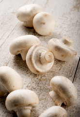 mushrooms on aged wood