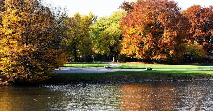 jardin public en bordure du lac de zurich en automne